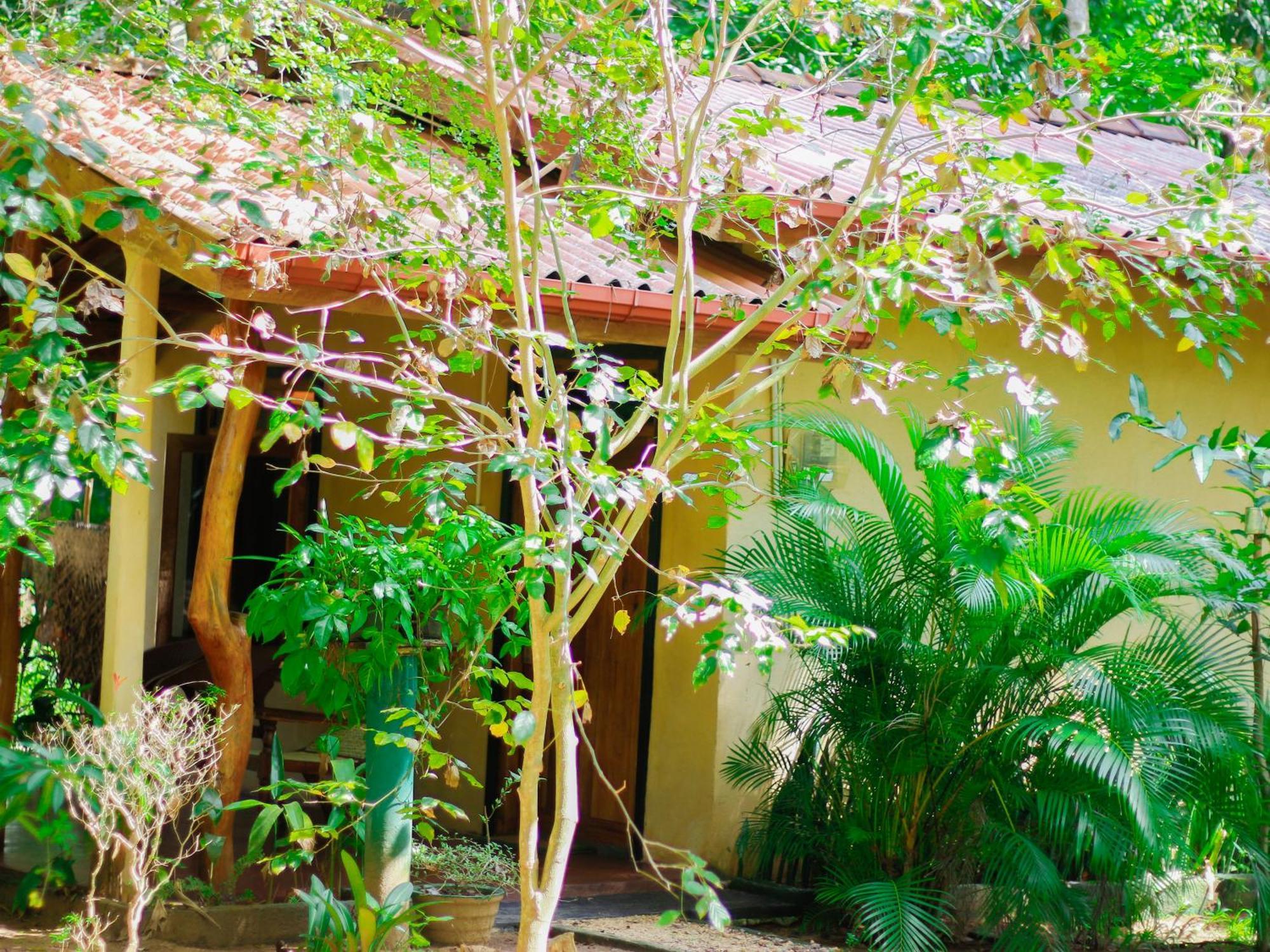 Joshua'S Cottage סיגירייה מראה חיצוני תמונה